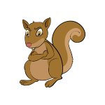 animal-squirrel