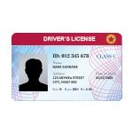 drivers-license